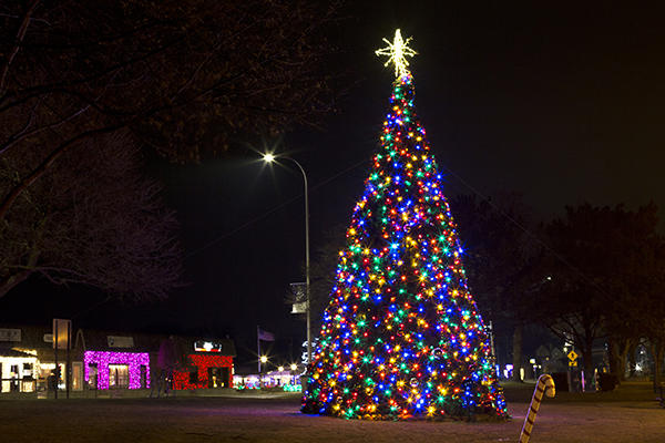 St. Clair Christmas Tree 2021